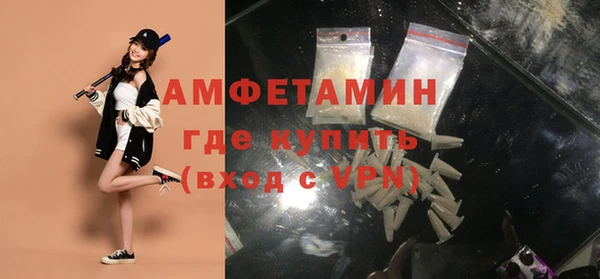сатива Няндома