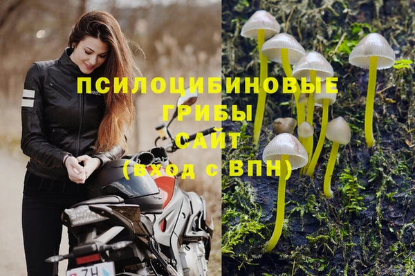 дмт Белокуриха