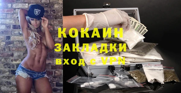 дмт Белокуриха