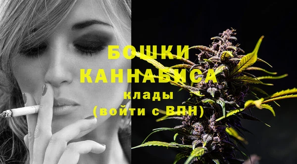 дмт Белокуриха