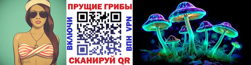 Галлюциногенные грибы Cubensis Мглин