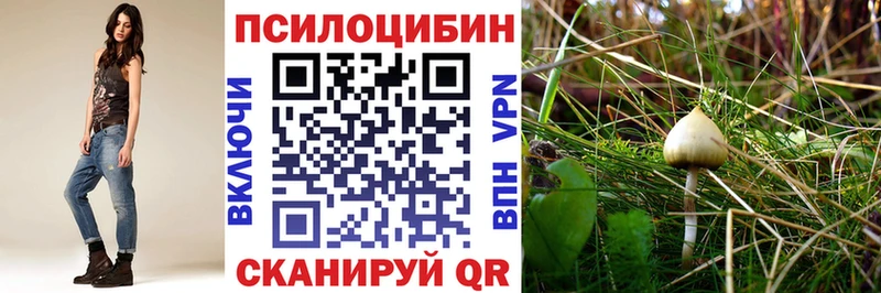 Псилоцибиновые грибы GOLDEN TEACHER  MEGA   Мглин  купить наркотики сайты 
